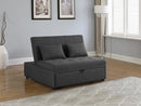 Sleeper Sofa Bed