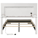 Felicity Panel Bed with LED Lighting - Michael's Discount Furniture
