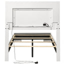 Felicity Panel Bed with LED Lighting - Michael's Discount Furniture