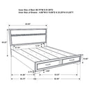 Miranda Panel Platform Storage Bed - Michael's Discount Furniture