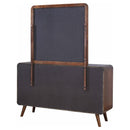 Robyn Dresser with Mirror - Michael's Discount Furniture