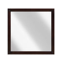Edina Mirror