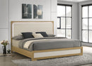 Hyland Panel Bed with LED Lighting - Michael's Discount Furniture