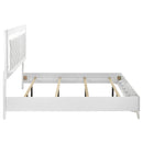 Cassia Panel Bed with LED Lighting - Michael's Discount Furniture