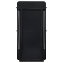 Leandro Floor Mirror - Michael's Discount Furniture