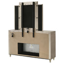 Lorient LED Dresser with LED Mirror and Flame Visualizer - Michael's Discount Furniture