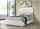 Marceline Panel Bed with LED Lighting - Michael's Discount Furniture