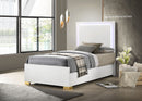 Marceline Panel Bed with LED Lighting - Michael's Discount Furniture