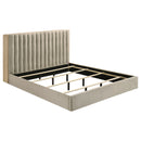 Arielle Bookcase Bed - Michael's Discount Furniture