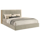 Arielle Bookcase Bed - Michael's Discount Furniture