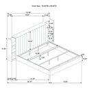 Arielle Bookcase Bed - Michael's Discount Furniture