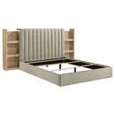 Arielle Bookcase Bed - Michael's Discount Furniture