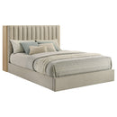 Arielle Bookcase Bed - Michael's Discount Furniture