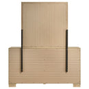 Arielle Dresser with Mirror - Michael's Discount Furniture