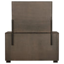 Durango Dresser with Mirror - Michael's Discount Furniture