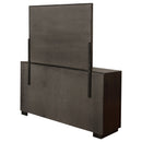 Durango Dresser with Mirror - Michael's Discount Furniture