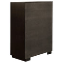 Durango Chest of Drawers - Michael's Discount Furniture