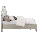 Evangeline Panel Bed with LED Lighting - Michael's Discount Furniture