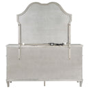 Evangeline Dresser with Mirror - Michael's Discount Furniture