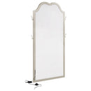 Evangeline Floor Mirror with LED Lighting - Michael's Discount Furniture