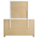 Caraway Dresser with Mirror - Michael's Discount Furniture