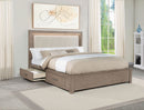 Kenora Panel Platform Storage Bed with LED Lighting - Michael's Discount Furniture
