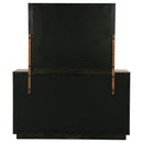 Terrace Dresser with Mirror - Michael's Discount Furniture
