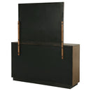 Terrace Dresser with Mirror - Michael's Discount Furniture