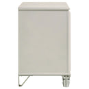 Olivia Nightstand - Michael's Discount Furniture