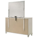 Olivia Dresser with Mirror - Michael's Discount Furniture