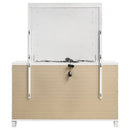 Marmore Dresser with Mirror - Michael's Discount Furniture