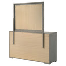Ives Dresser with Mirror - Michael's Discount Furniture