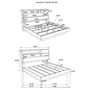 Fenwick Bookcase Platform Bed - Michael's Discount Furniture