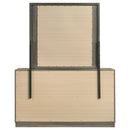 Fenwick Dresser with Mirror - Michael's Discount Furniture