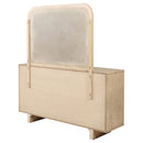 Kailani Dresser with Mirror - Michael's Discount Furniture