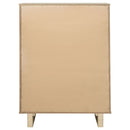 Kailani Chest of Drawers - Michael's Discount Furniture