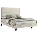 Trenton Panel Bed - Michael's Discount Furniture
