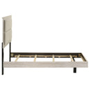 Trenton Panel Bed - Michael's Discount Furniture
