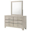 Trenton Dresser with Mirror - Michael's Discount Furniture