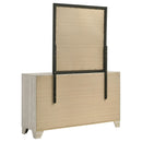 Trenton Dresser with Mirror - Michael's Discount Furniture