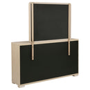 Ladera Dresser with Mirror - Michael's Discount Furniture