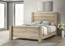 Oakglen Panel Bed - Michael's Discount Furniture
