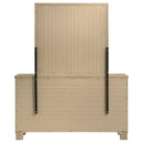 Oakglen Dresser with Mirror - Michael's Discount Furniture