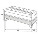 Barzini Storage Bench - Michael's Discount Furniture