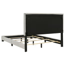 Dorian Panel Bed - Michael's Discount Furniture