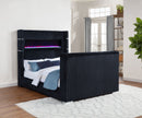 Tisdall Wingback TV Bed with Flame Visualizer - Michael's Discount Furniture