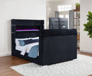 Tisdall Wingback TV Bed with Flame Visualizer - Michael's Discount Furniture