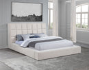 Dreux Panel Platform Bed - Michael's Discount Furniture
