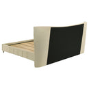 Evelyn Panel Platform Bed - Michael's Discount Furniture