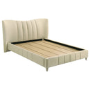 Evelyn Panel Platform Bed - Michael's Discount Furniture